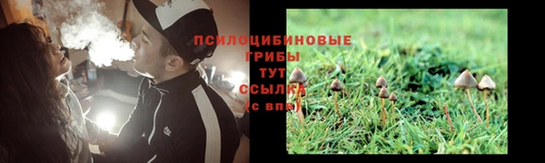 2c-b Белокуриха