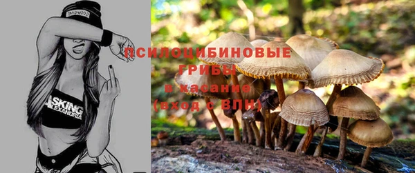 2c-b Белокуриха