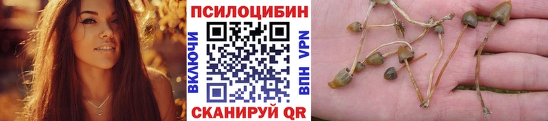 наркошоп  Учалы  Псилоцибиновые грибы мухоморы 